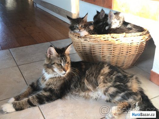 detailní fotografie