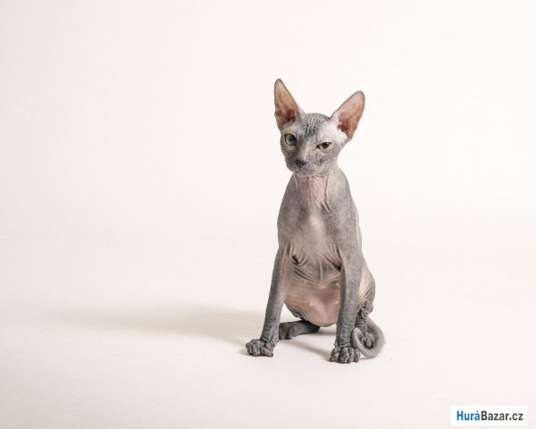 detailní fotografie