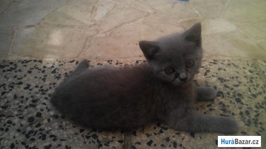 detailní fotografie