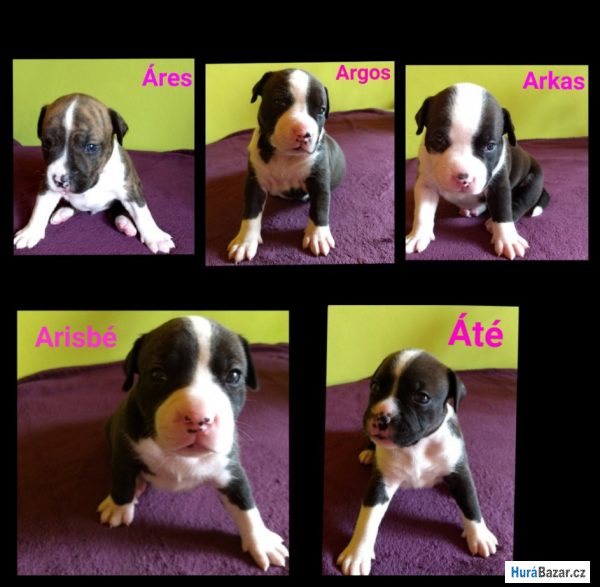 detailní fotografie