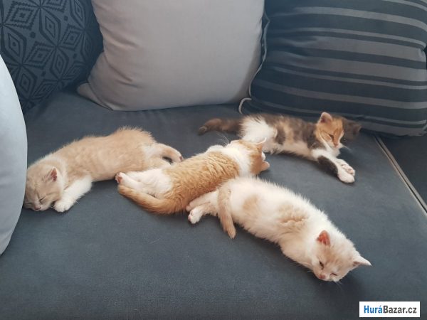 detailní fotografie