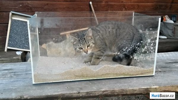 detailní fotografie