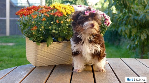 detailní fotografie