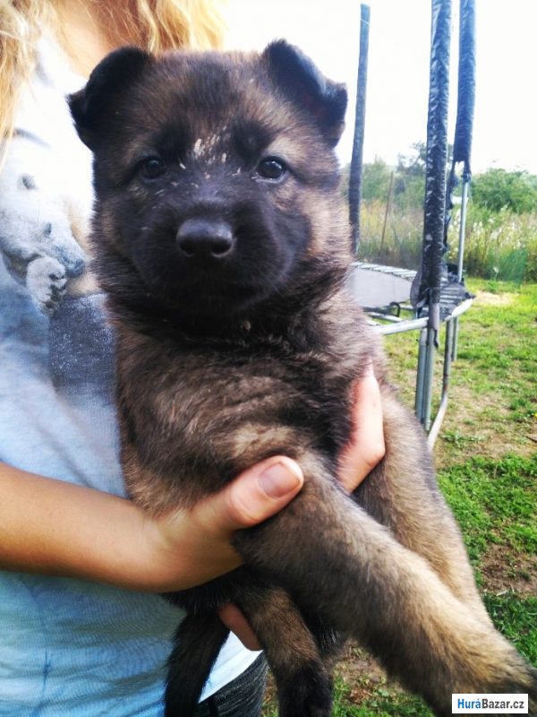 detailní fotografie