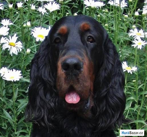 detailní fotografie