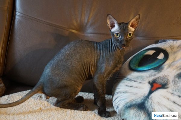 detailní fotografie