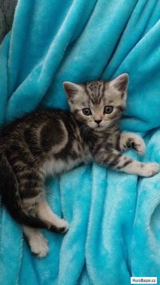 detailní fotografie