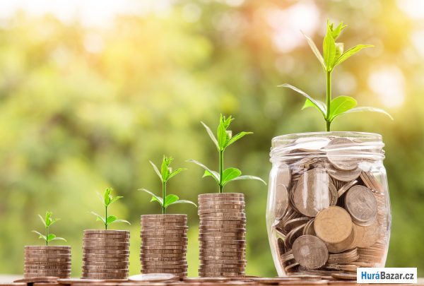 detailní fotografie