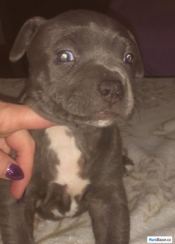 detailní fotografie