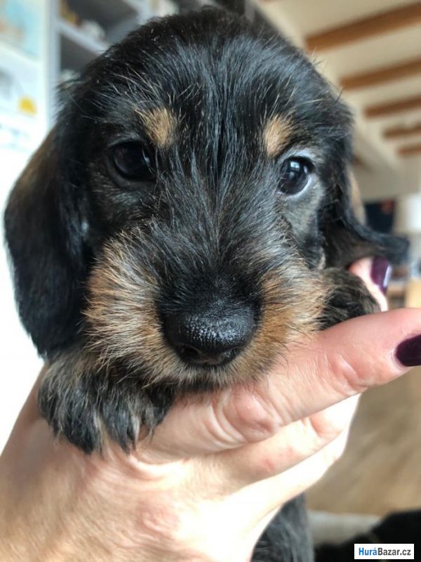 detailní fotografie