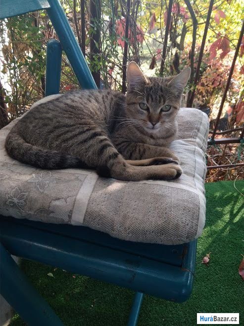 detailní fotografie