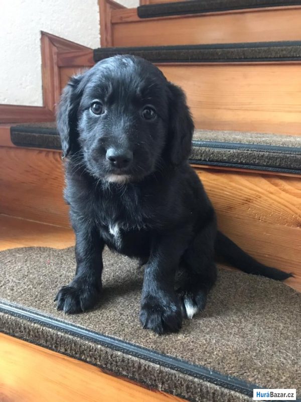 detailní fotografie