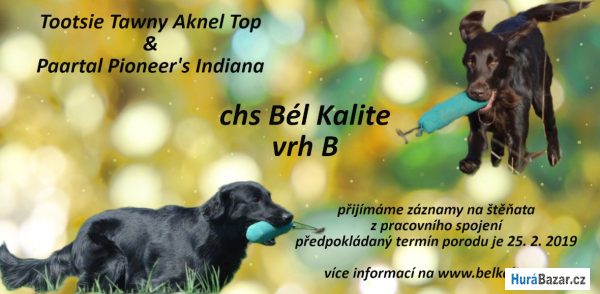 detailní fotografie