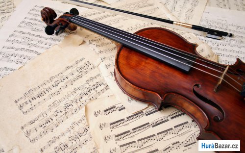 detailní fotografie