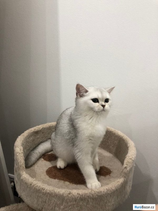 detailní fotografie