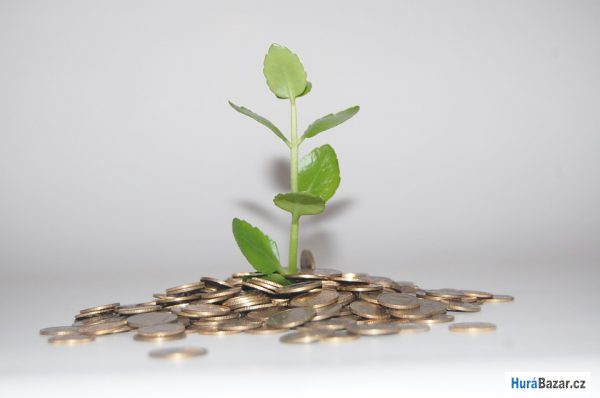 detailní fotografie