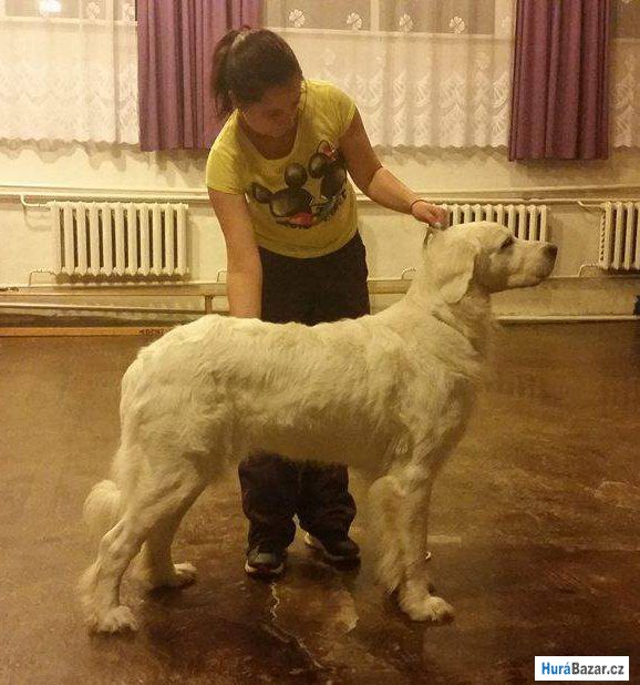 detailní fotografie