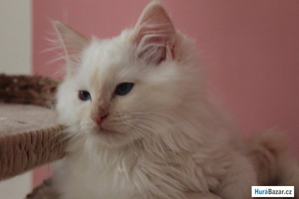 detailní fotografie