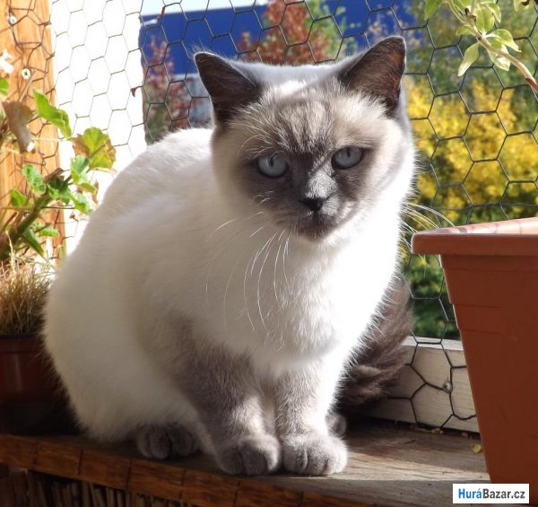 detailní fotografie