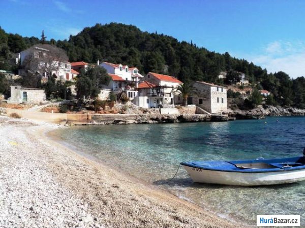 detailní fotografie