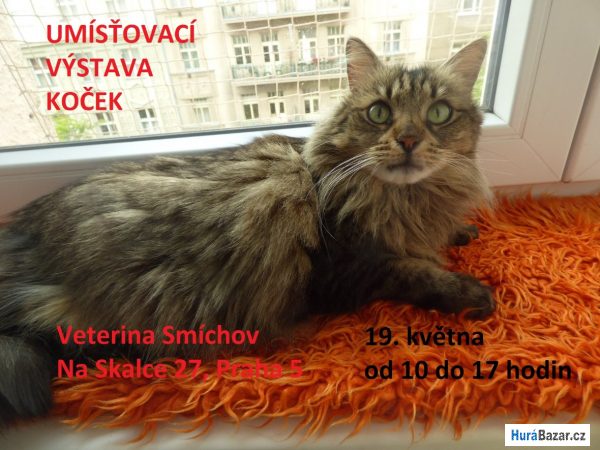 detailní fotografie