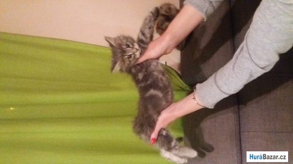 detailní fotografie