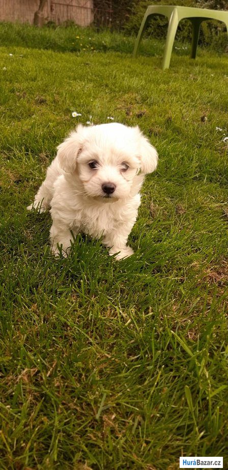 detailní fotografie