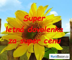 detailní fotografie