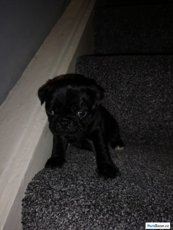 detailní fotografie