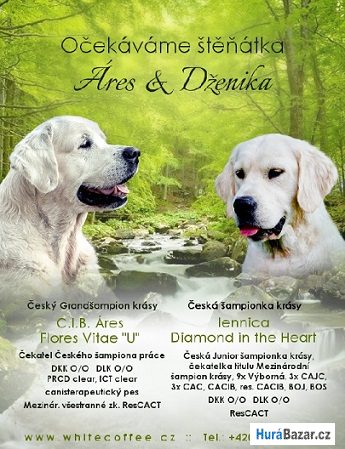 detailní fotografie