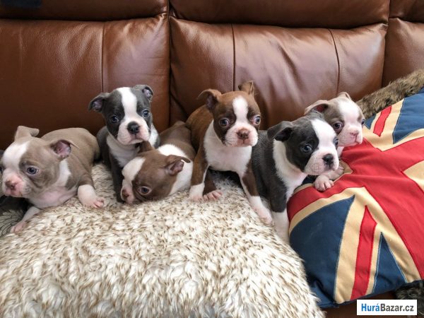 detailní fotografie