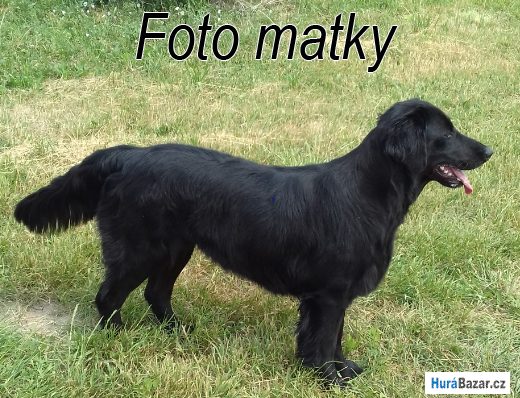 detailní fotografie