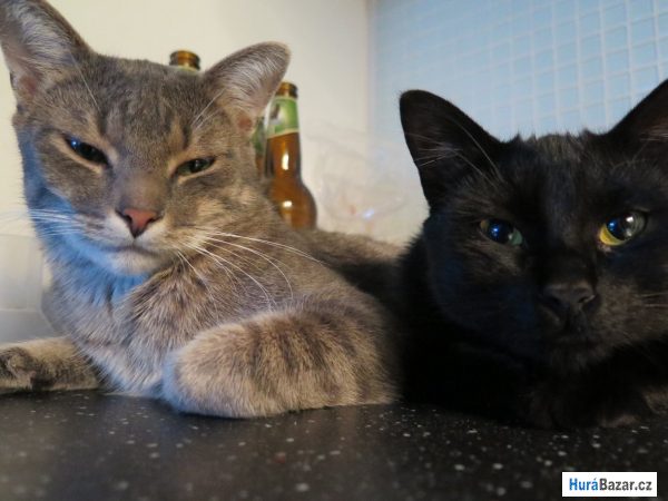 detailní fotografie