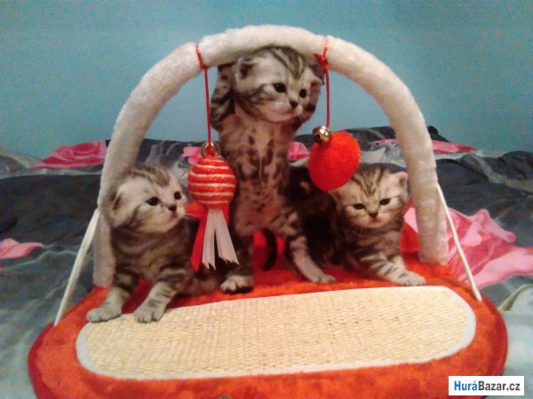 detailní fotografie