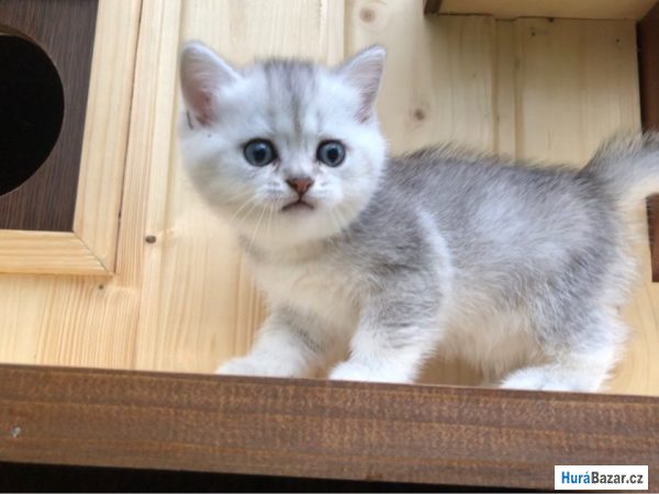 detailní fotografie