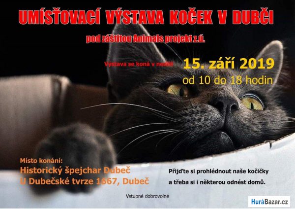 detailní fotografie