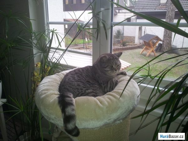 detailní fotografie