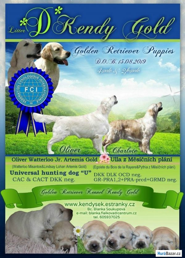 detailní fotografie