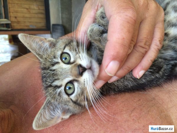 detailní fotografie