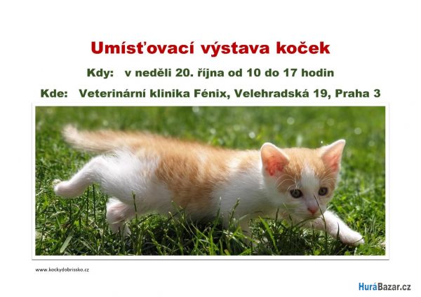 detailní fotografie