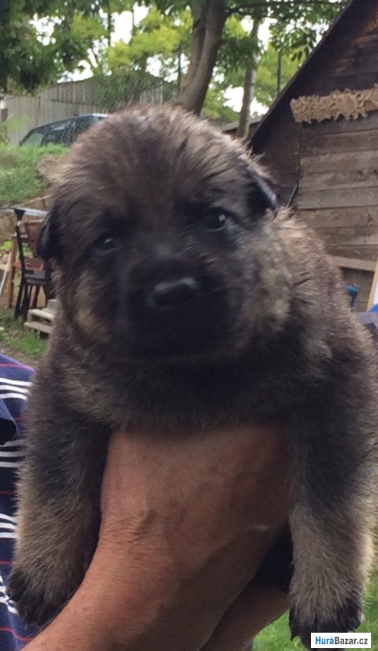 detailní fotografie