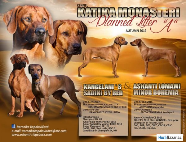 detailní fotografie