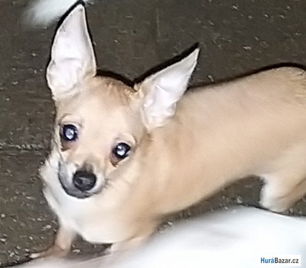 detailní fotografie