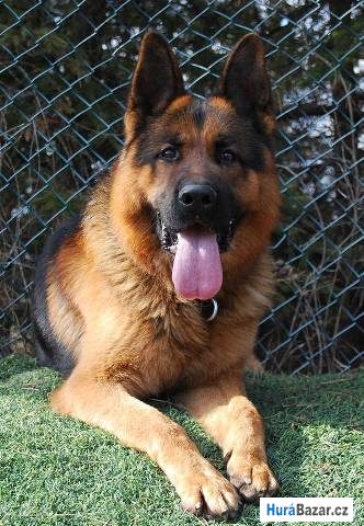 detailní fotografie