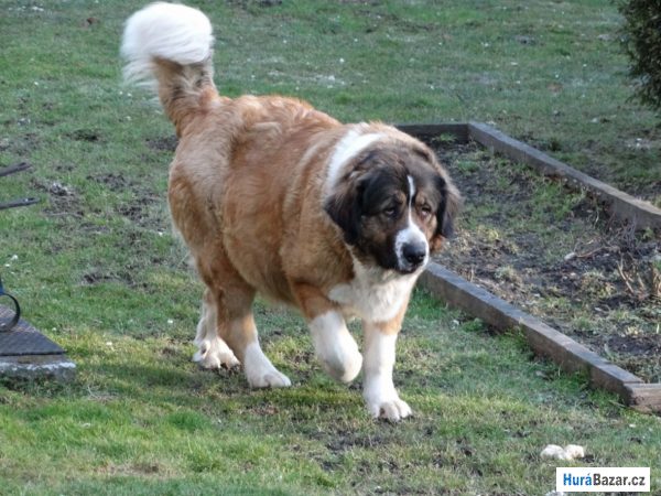 detailní fotografie