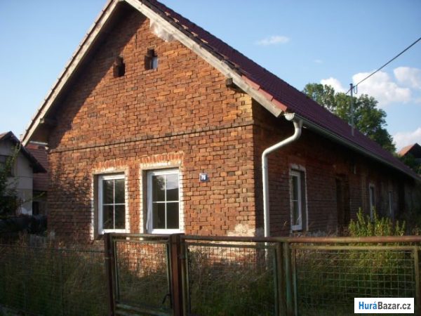 detailní fotografie