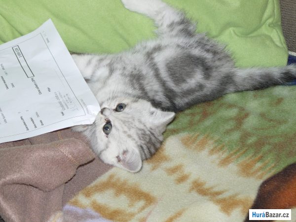 detailní fotografie