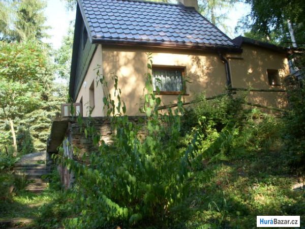 detailní fotografie