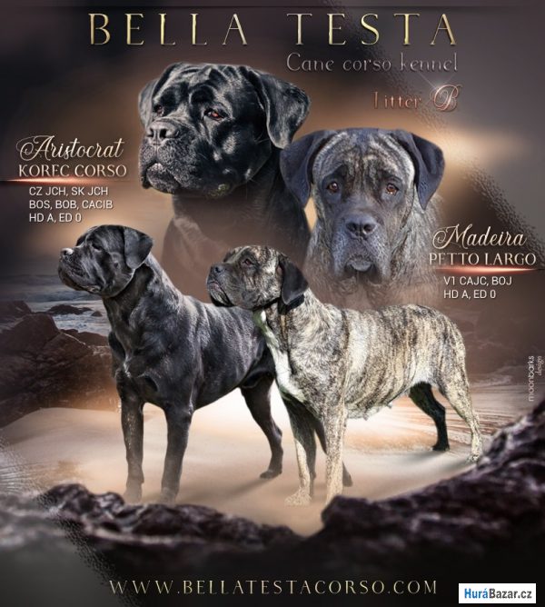 detailní fotografie