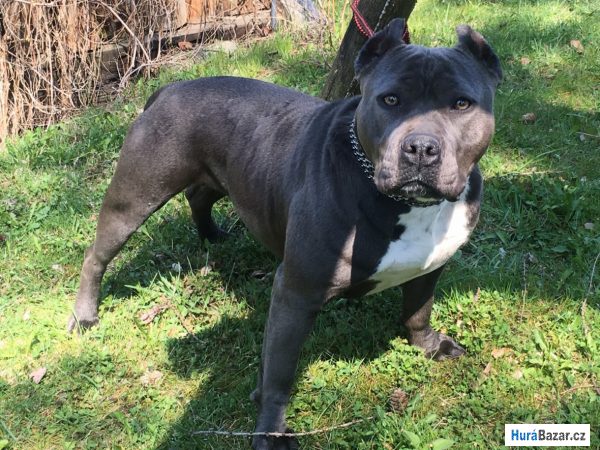 detailní fotografie